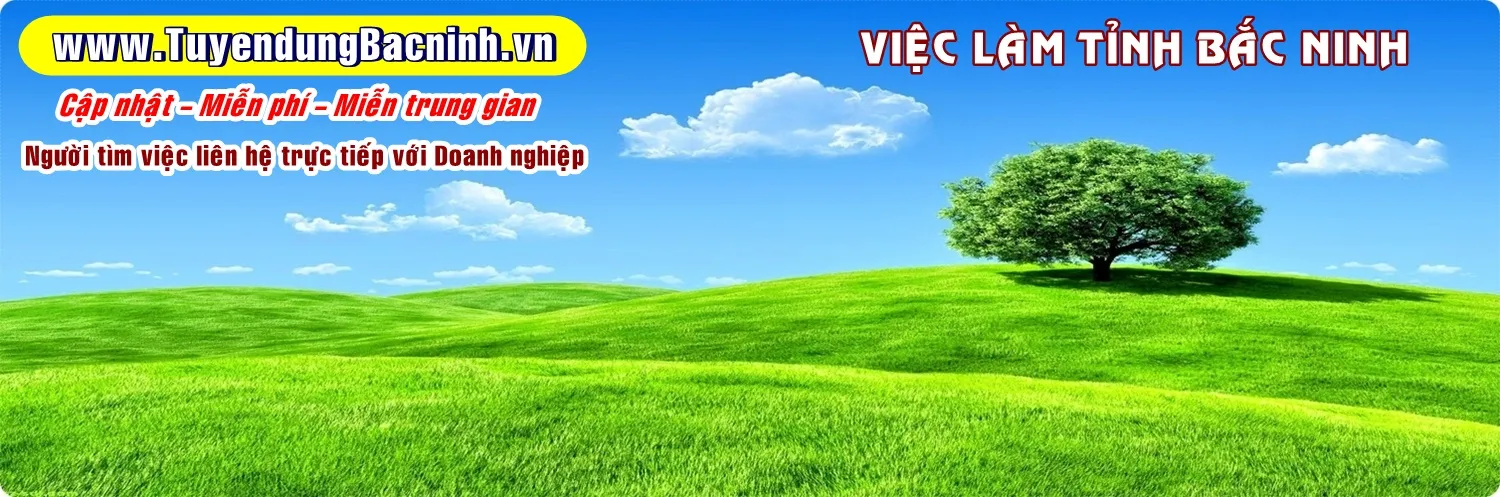Logo Việc làm Bắc Ninh - Kênh tuyển dụng uy tín